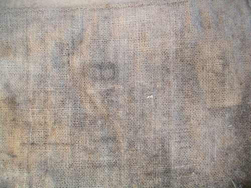 kl_jute4.jpg